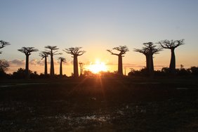 Partnerland Madagaskar